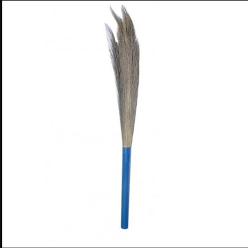 Floor Grass Broom