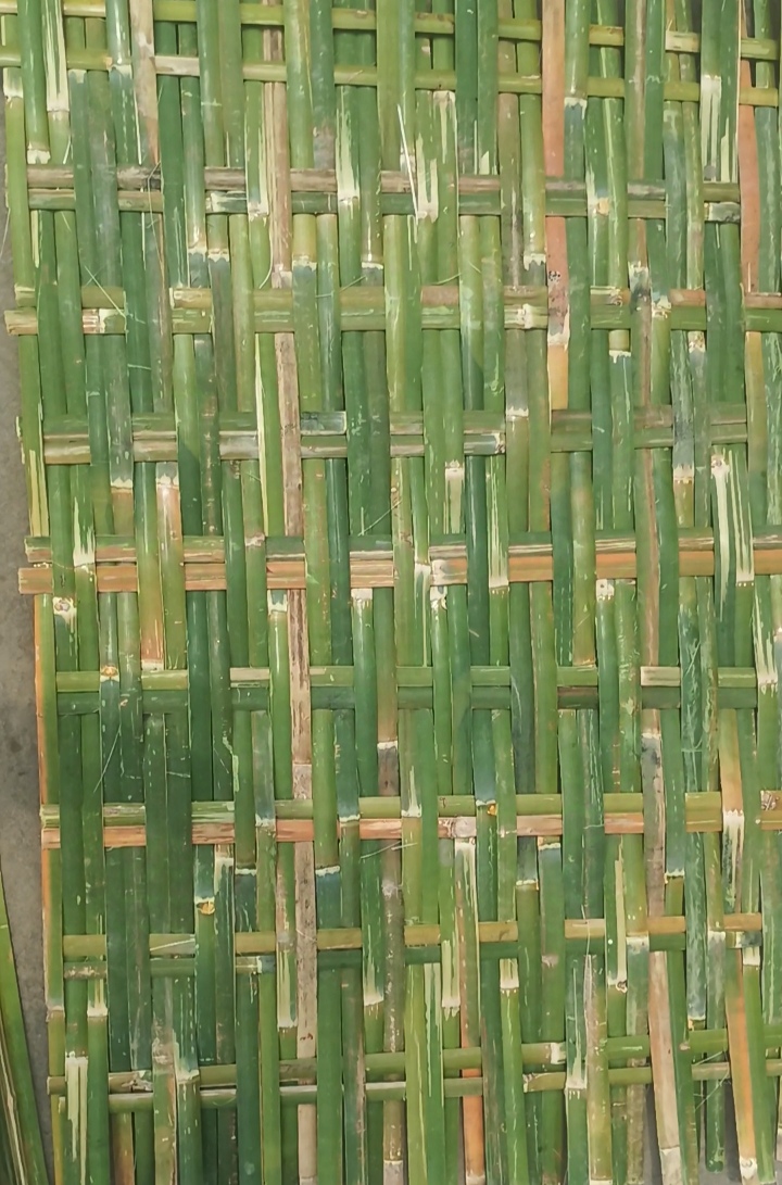 Bamboo Handmade Fencing