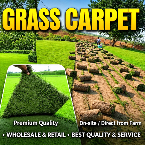 Green Grass Carpet