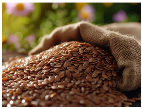 Organic Flax Seeds