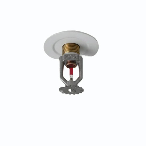 Fire Sprinkler System
