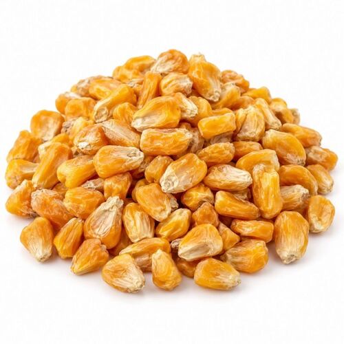 Mymarwar Dried Sweet Corn