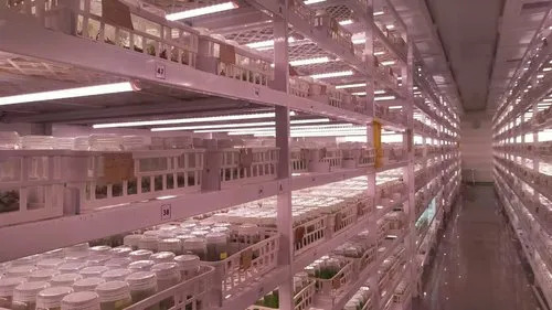 10w Tissue Culture Led Grow Light, Led Grow Light For Tissue Culture