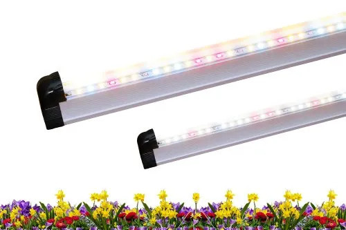 50w Succulent Led Grow Light