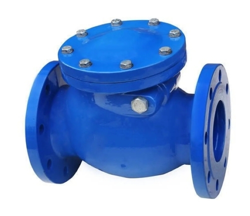 Cast Iron Y Type Strainer