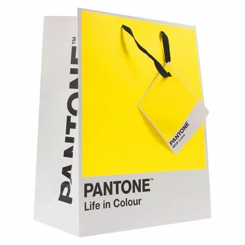 Paper Carry Bag