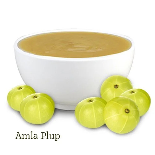 Frozen Amla Pulp