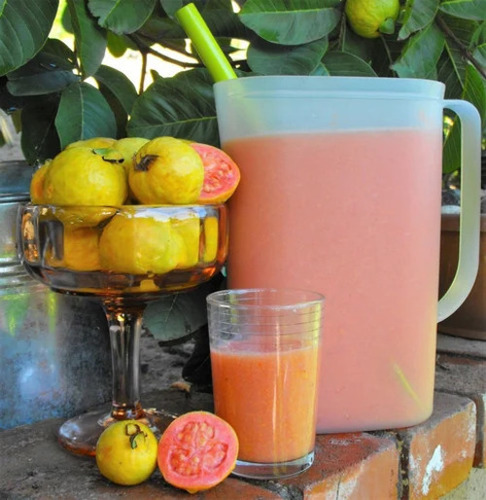 Frozen Pink Guava Pulp