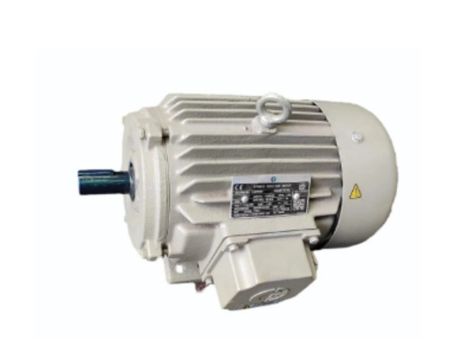 Crompton Greaves Induction Motor