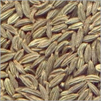 Fennel Seeds (Souff)