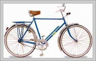 Low Maintenance Cost Phillip Gents Bicycle