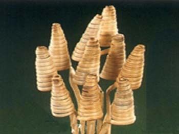 Dried Cane Cone