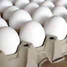 Nutritional Fresh White Eggs