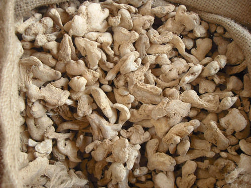 Dried Ginger