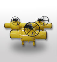 Trunnion Mounted Ball Valve