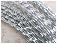 Steel Concertina Wires