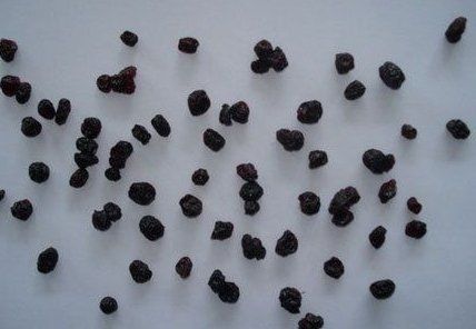 Natural Premium Dried Blueberry