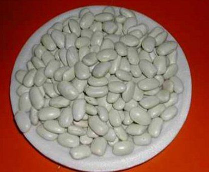 Organic White Kidney Beans