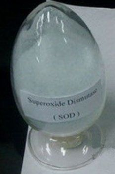 Superoxide Dismutase (Sod) Cas No: 9054-89-1