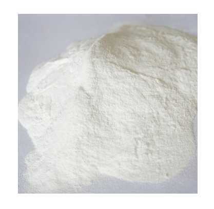 Dicalcium Phosphate Powder