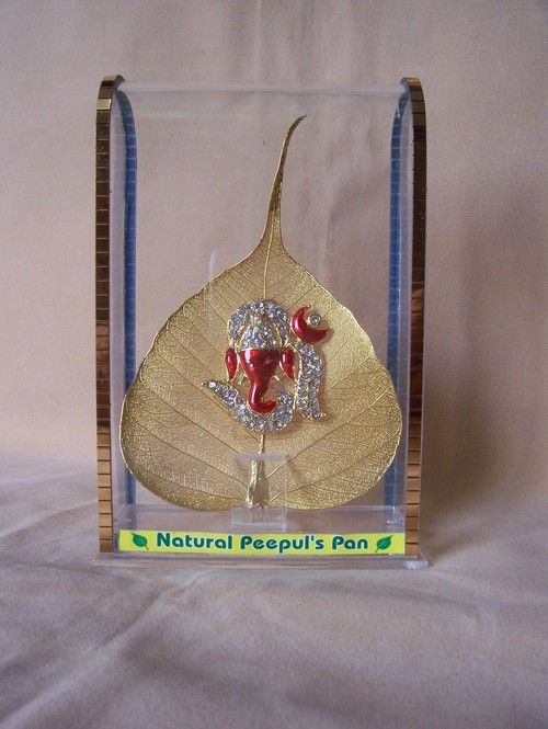 Gold Plated Natural Peepal Leaf