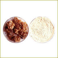 Boswellia Serrata Extract