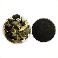 Gymnema Sylvestre Extract - 25% to 75% Gymnemic Acid, Green to Light Brown Powder and Granular Form