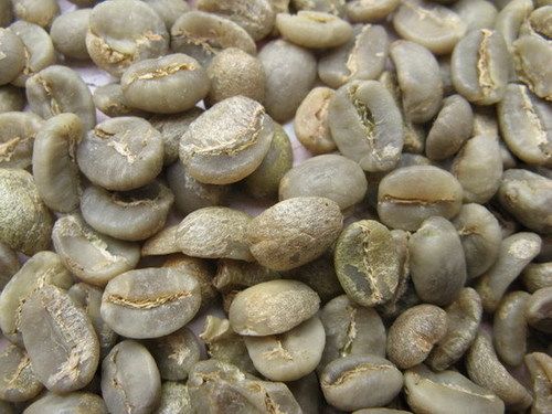 Coffee Bean (Arabica)