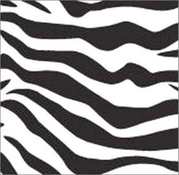 Zebra Print Packaging Paper