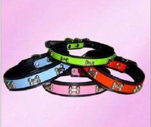 Designer Pet Dog Collars