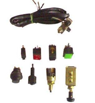 Standard Auto Electrical Switches Size: Vary