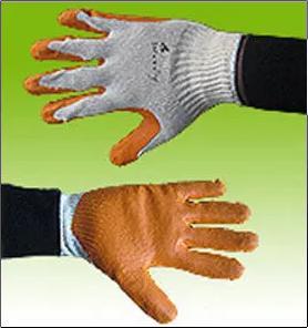 Coated Nylon Knitted Glove