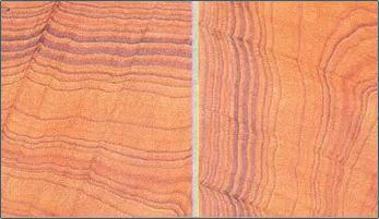 Designer Rainbow Sandstone Slabs