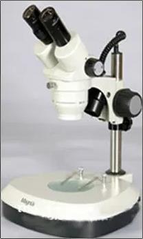 Stereo Magnus Microscope 