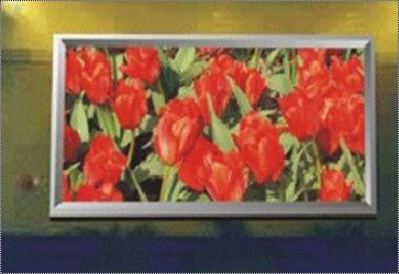 Indoor Full Color Led Display Screen Usage: Advertisement