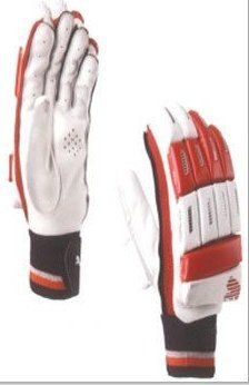 Professional Cricket Batting Gloves