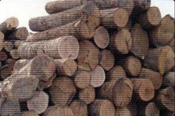 European Timber Type Lumbers Moisture Content: Minimum