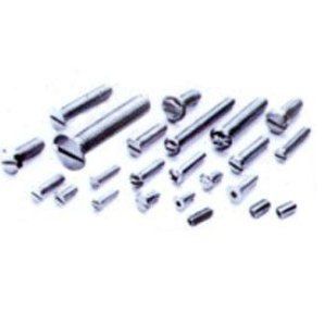 Stainless Steel Heavy Duty Ss Fasteners