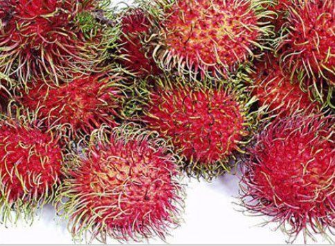Organic Fresh Rambutan Fruit
