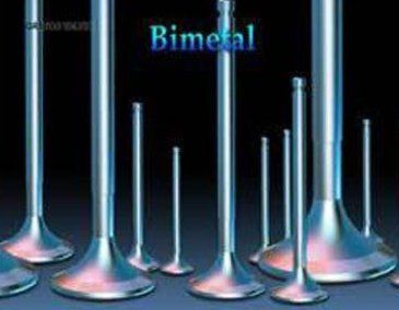 Stainless Steel Economical Bimtel Engine Valves