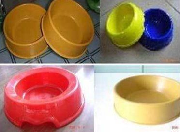 Plant Fibre Degradable Pet Feeder Application: Cats