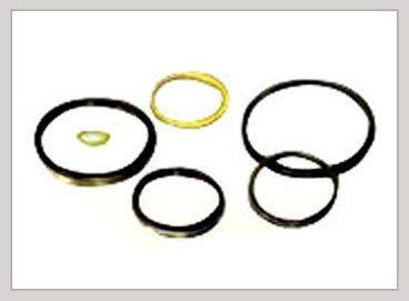 Round Perfect Fitting Wiper Seal