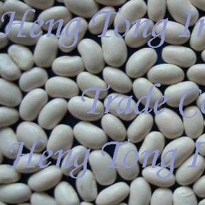 Japanese White Kidney Beans