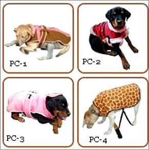 dog clothes delhi