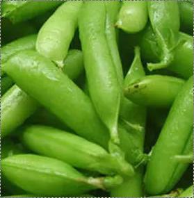 Fresh Organic Green Peas