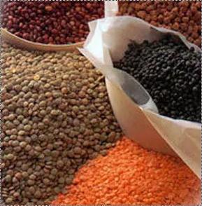 Indian Organic Cleaned Pulses