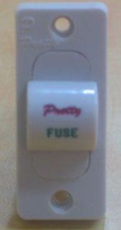 Electrical 10 Ampere Fuse