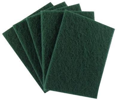 Scour Pad