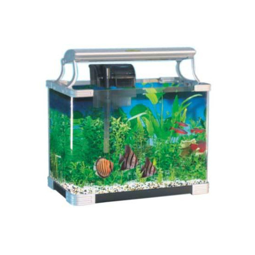 Open Fish Aquariums - Feature: Elegant Look