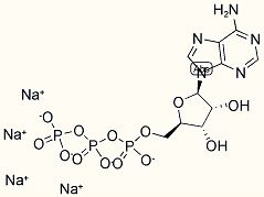 Adenosine-5-MonoPhosphoric Acid Monohydrate